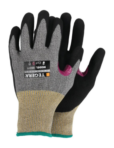 TEGERA Infinity 8807T