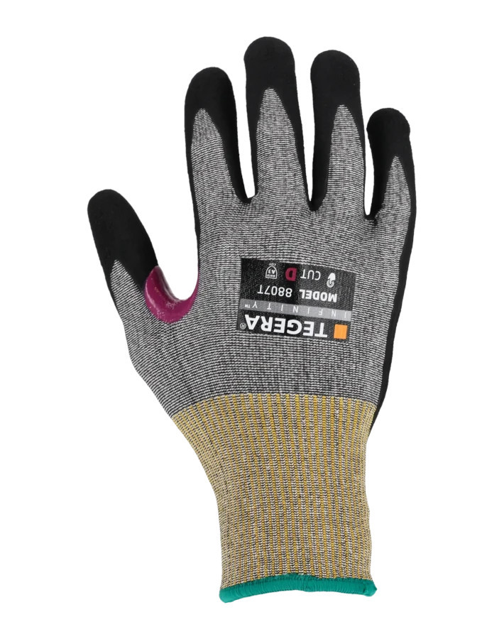 TEGERA Infinity 8807T