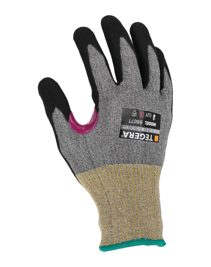 TEGERA Infinity 8807T