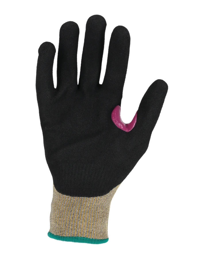 TEGERA Infinity 8807T