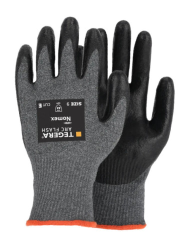 TEGERA Arc Flash 2010