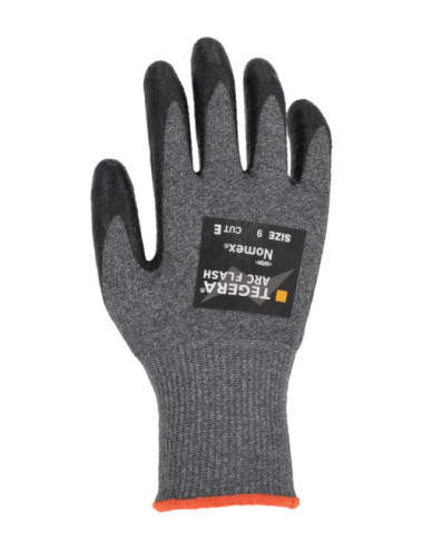 TEGERA Arc Flash 2010