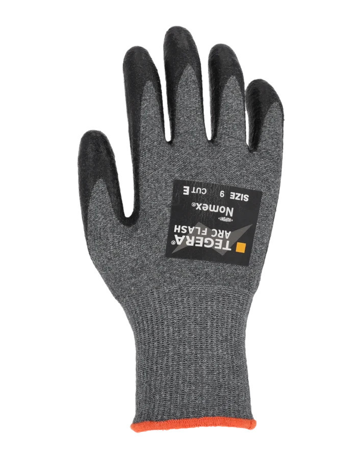 TEGERA Arc Flash 2010