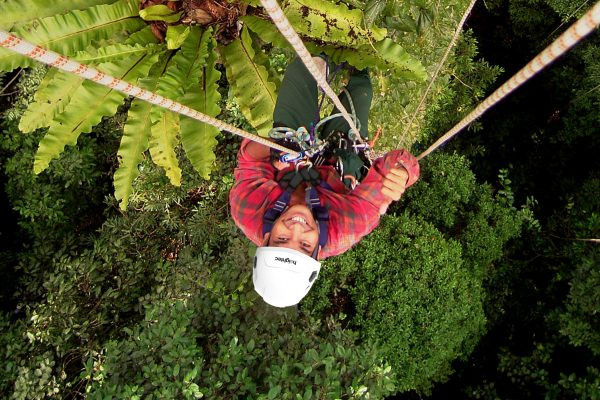 Arborist